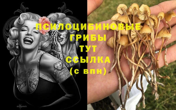 СК Алексеевка