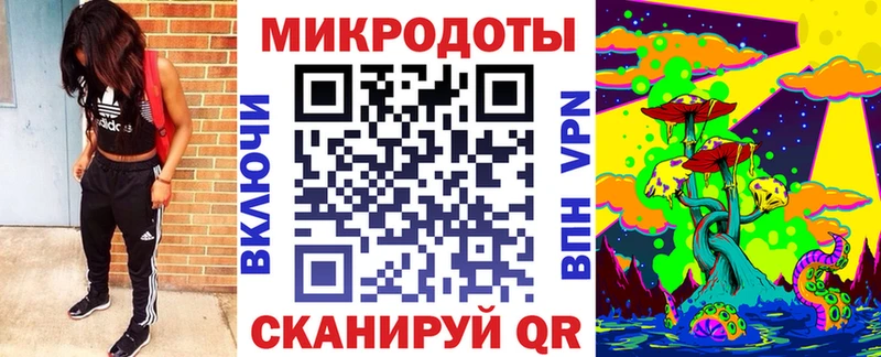 продажа наркотиков  Ковылкино  Псилоцибиновые грибы мицелий 